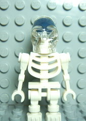 u`[] Skeleton with  Skull^u`YX{b@7627